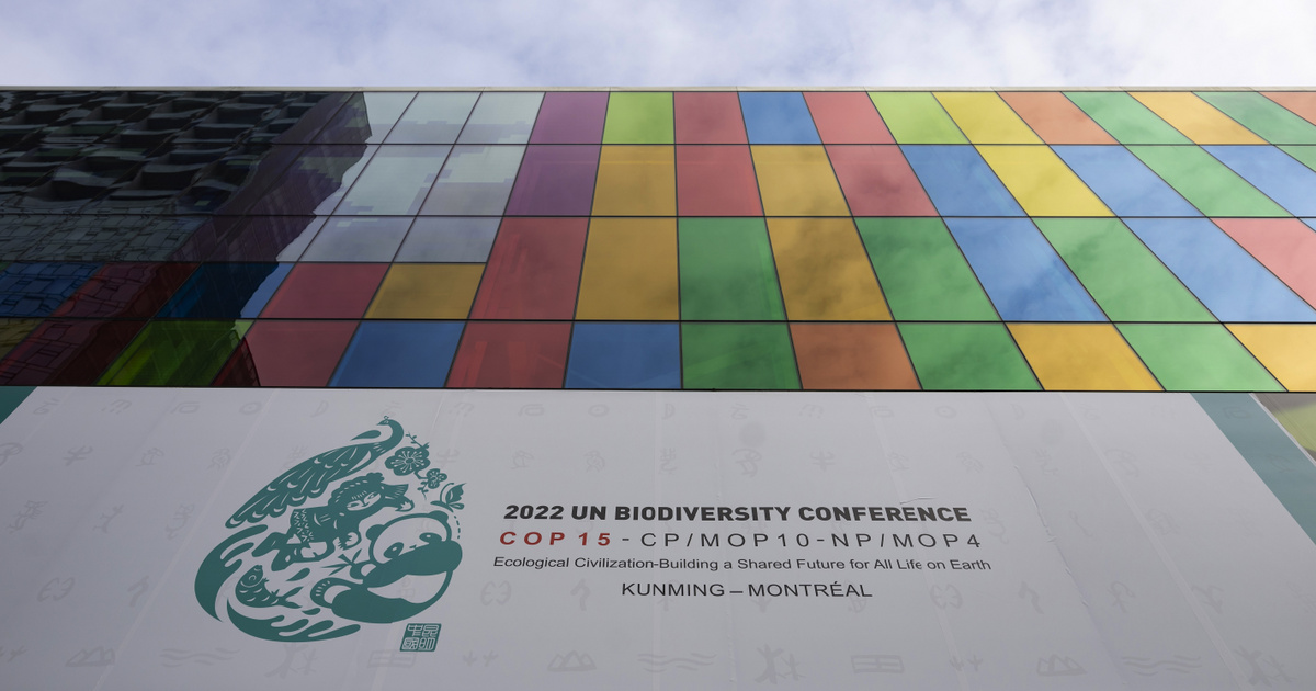 Index – Technology – Science – A landmark agreement to protect biodiversity has been created