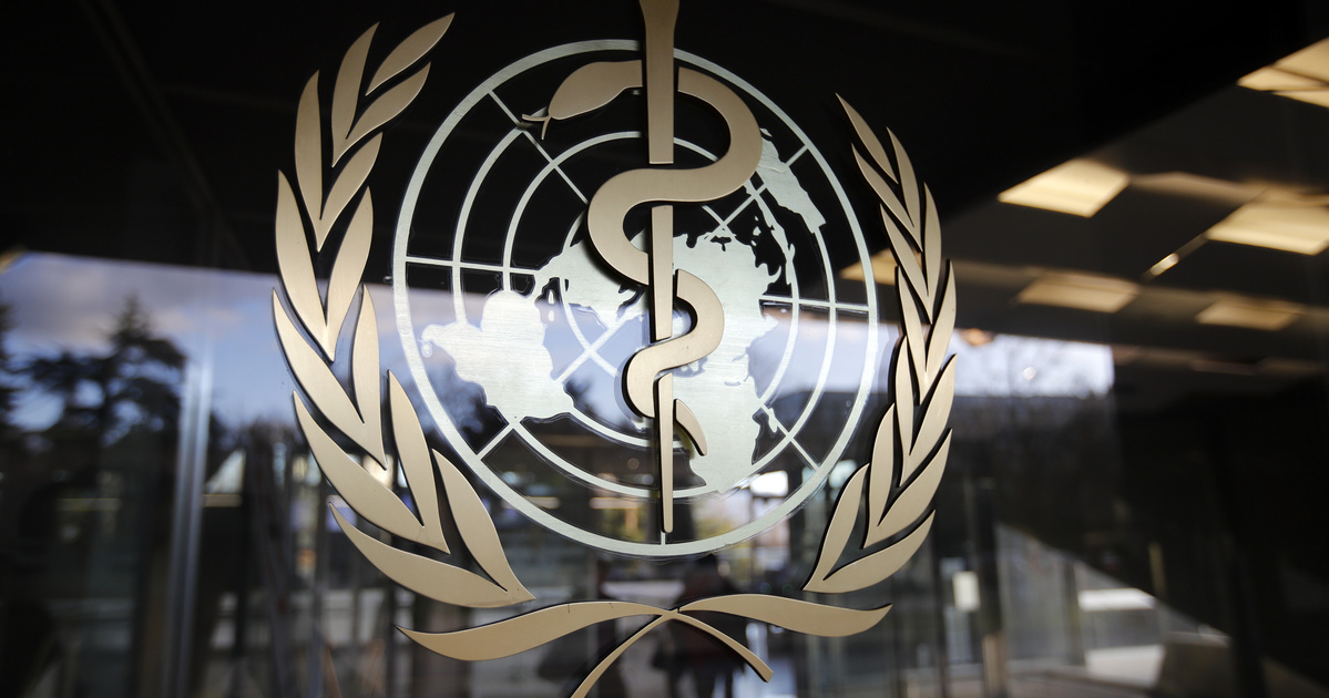 Index – Abroad – The World Health Organization has sacked its regional director over racism