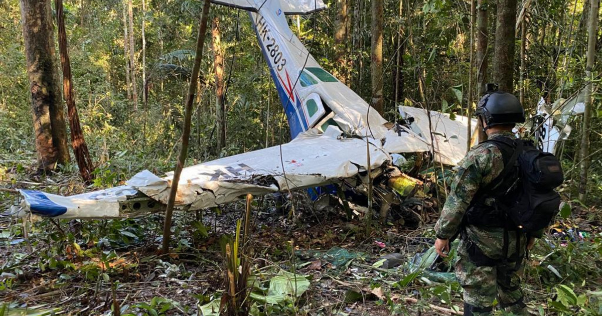 Túlélhetik-e a lezuhant repülőgépből eltűnt gyerekek az amazonaszi dzsungelt?