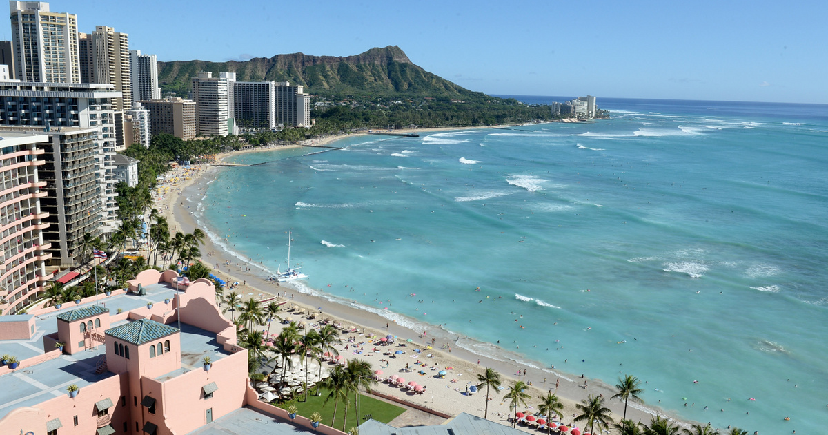 Újra elérhető Hawaii népszerű strandja, miután a fókabébit már nem szoptatja az anyja
