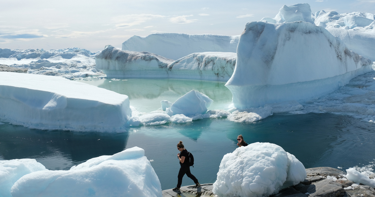 Índice – Ciencia – En Groenlandia se puede encontrar un antídoto contra el calentamiento global, que también ayuda a la industria cervecera