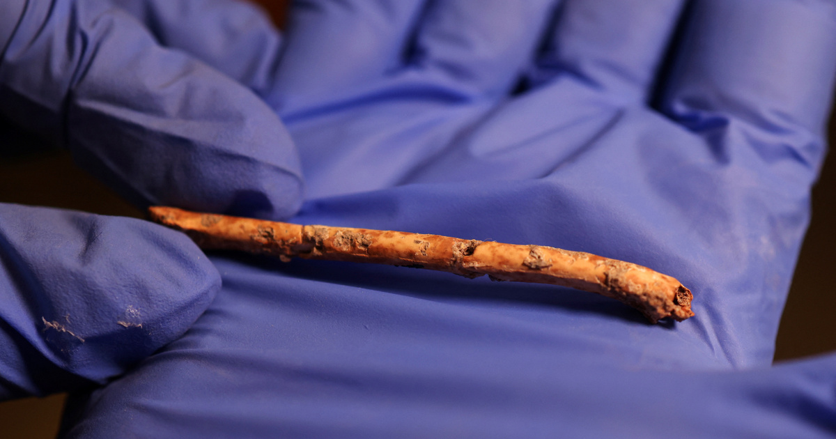 Több mint tízezer éves furulyát fedeztek fel a régészek