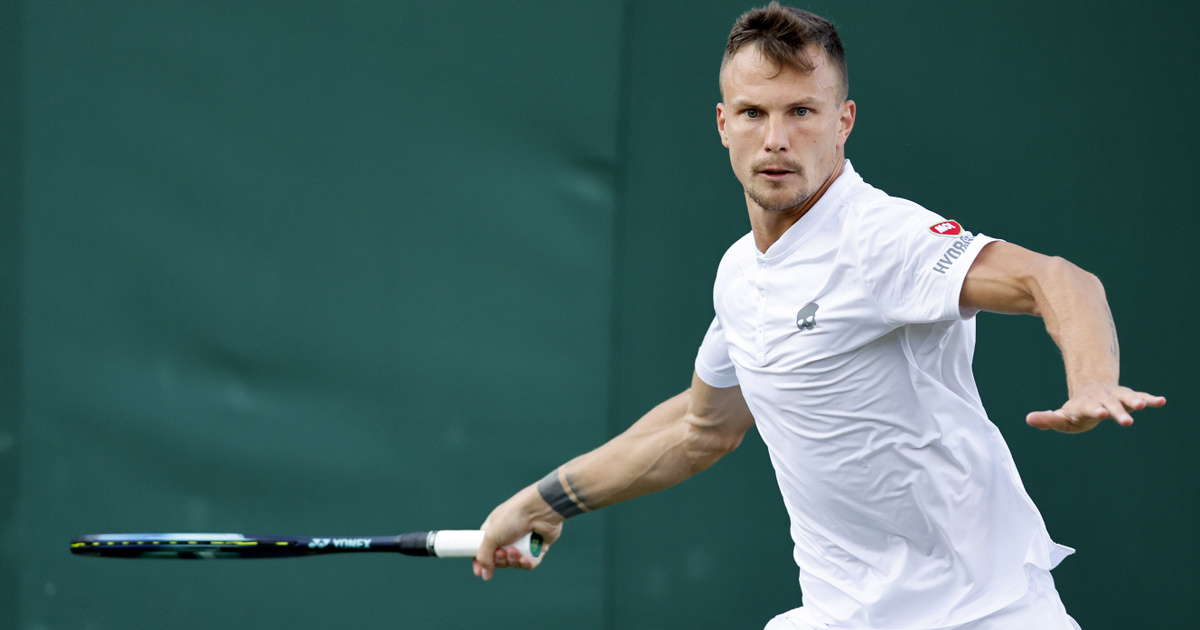 Tallon Knocks Out Griekspoor: Fucsovics Advances in Wimbledon Men’s Singles