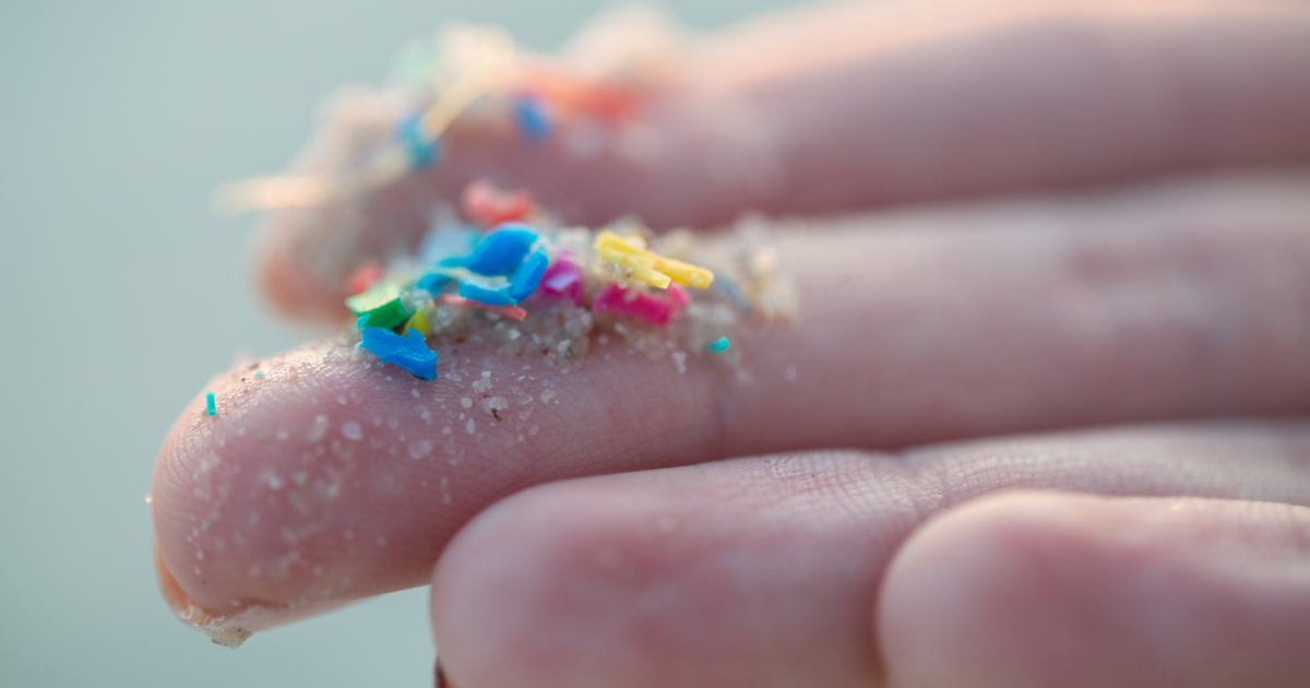 Índice – Ciencia – ¡Los microplásticos ya están en nuestros corazones!