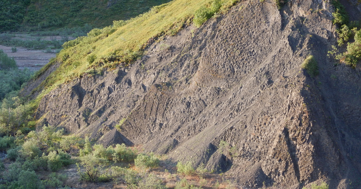 Catalog – Technology – Huge dinosaur trail found in Alaska