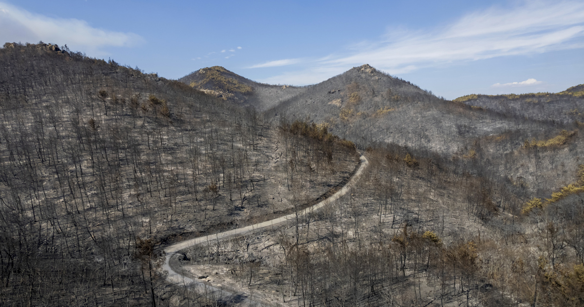 Ευρετήριο – Εξωτερικό – Η Ελλάδα θα καταπολεμούσε τις δασικές πυρκαγιές με drones και συστήματα πυρανίχνευσης