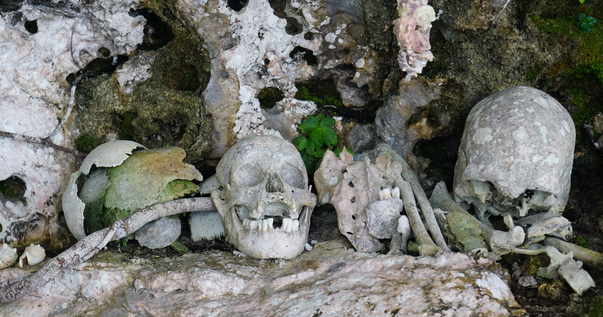 Meglepő, mire használták fel a történelem során a csontokat – Öltek és gyógyítottak is velük