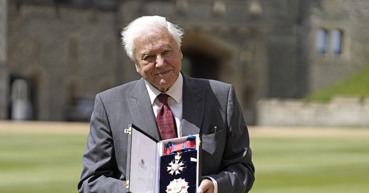 Bajban az emberiség David Attenborough szerint: „Ha most cselekszünk, még helyrehozhatjuk”