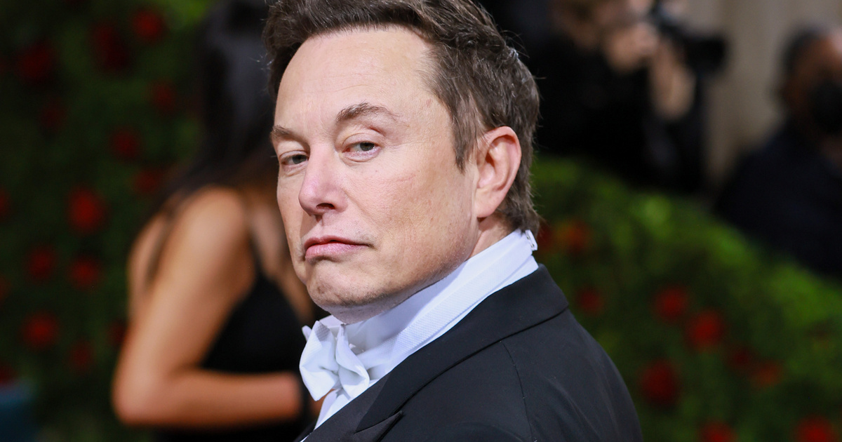 Fizetőssé válhat az X, Elon Musk így harcolna a „botok” ellen
