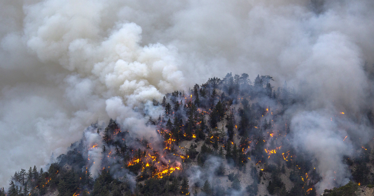 Index – Abroad – Hungary has also been taken to court over climate change