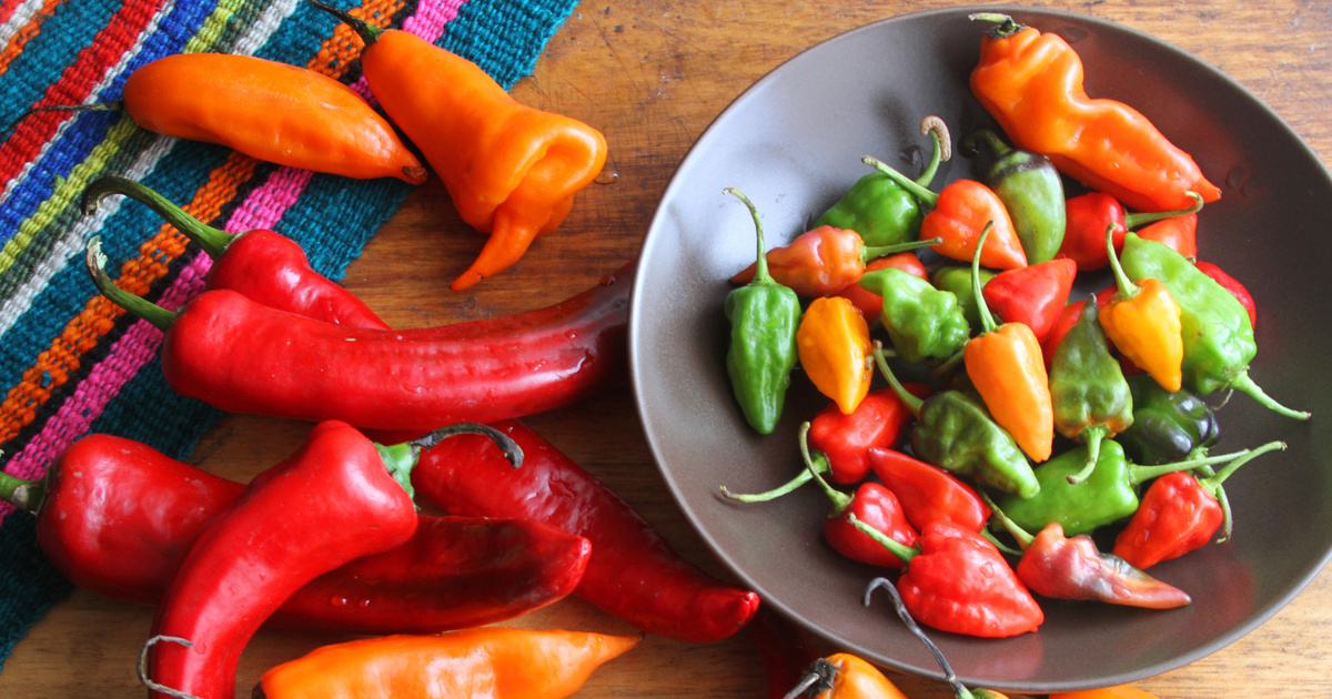 Paprika Spray Lemosasa