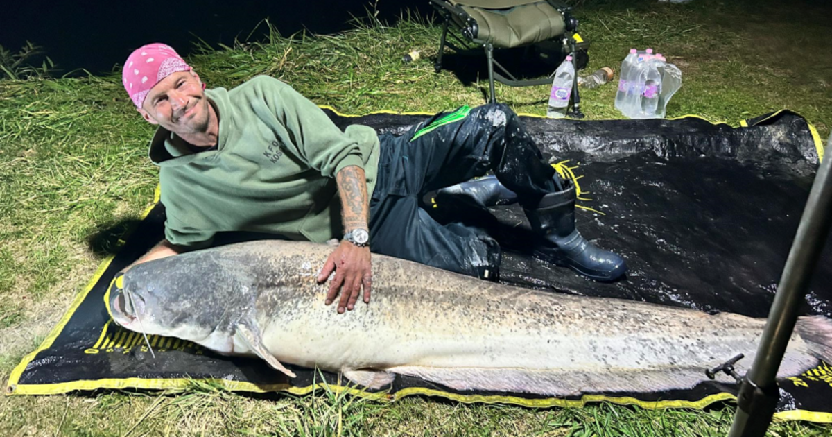 Man Catches 80-Kilo Catfish at Bajánsenyei Horgásztó: A Fishing Tale