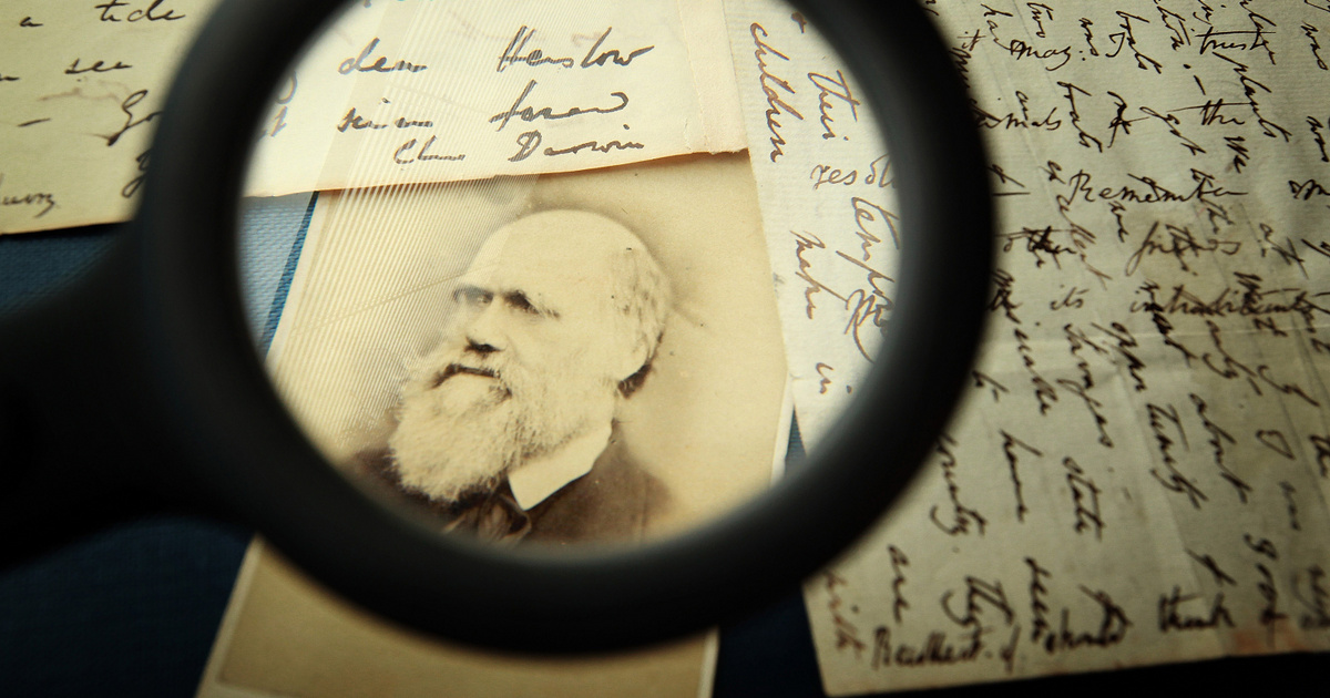 Index – Science – Darwin’s theory of evolution was completed