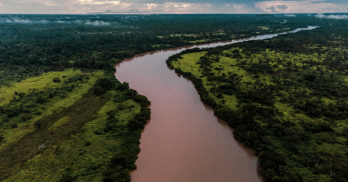 Índice – Ciencia Tecnología – Se han encontrado materiales asombrosos en uno de los ríos más oscuros del mundo