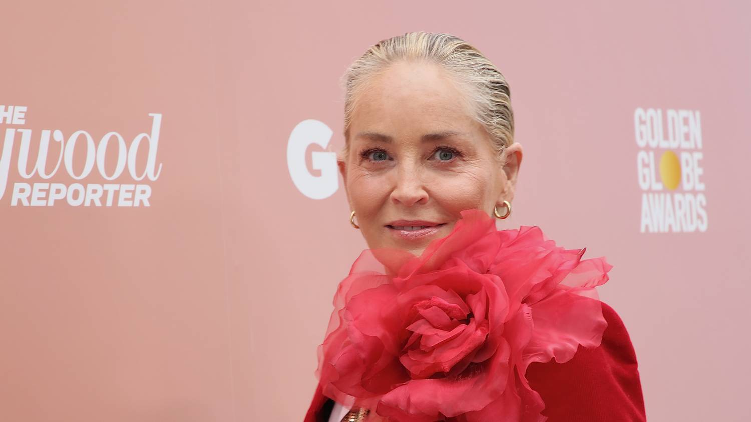 Egy magyar férfi állítja: Sharon Stone az elhunyt gyerekének anyja