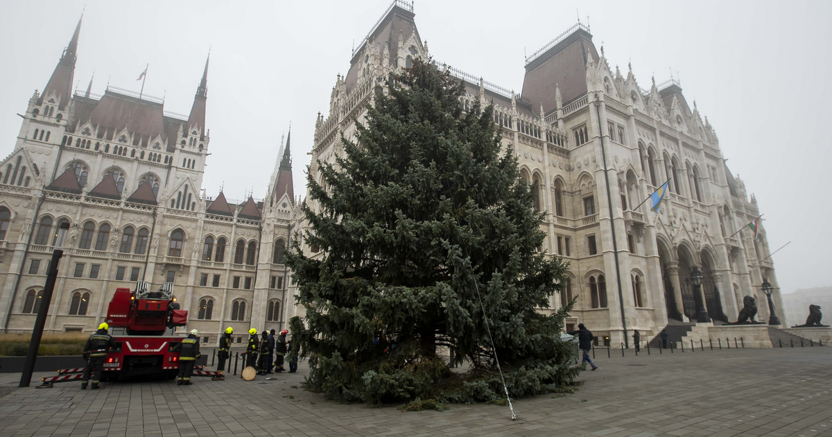 Még december sincs, de már megvan az ország karácsonyfája