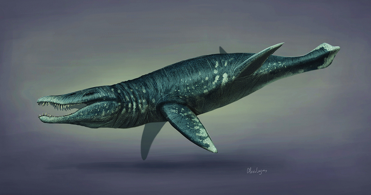 Index – Science – The skull of a giant water monster was found in England