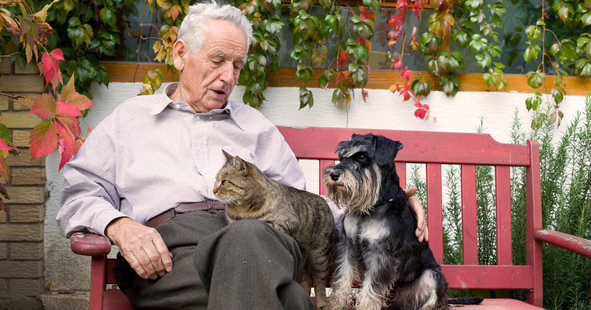 Index – Science Technology – Pets can help fight dementia in the elderly
