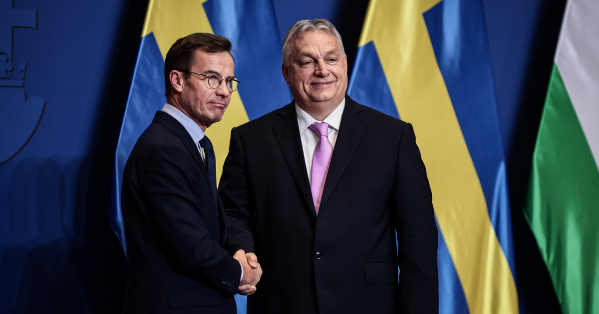 Orbán Viktornak ez az ajánlat már tetszett, újabb szövetséges csatlakozik