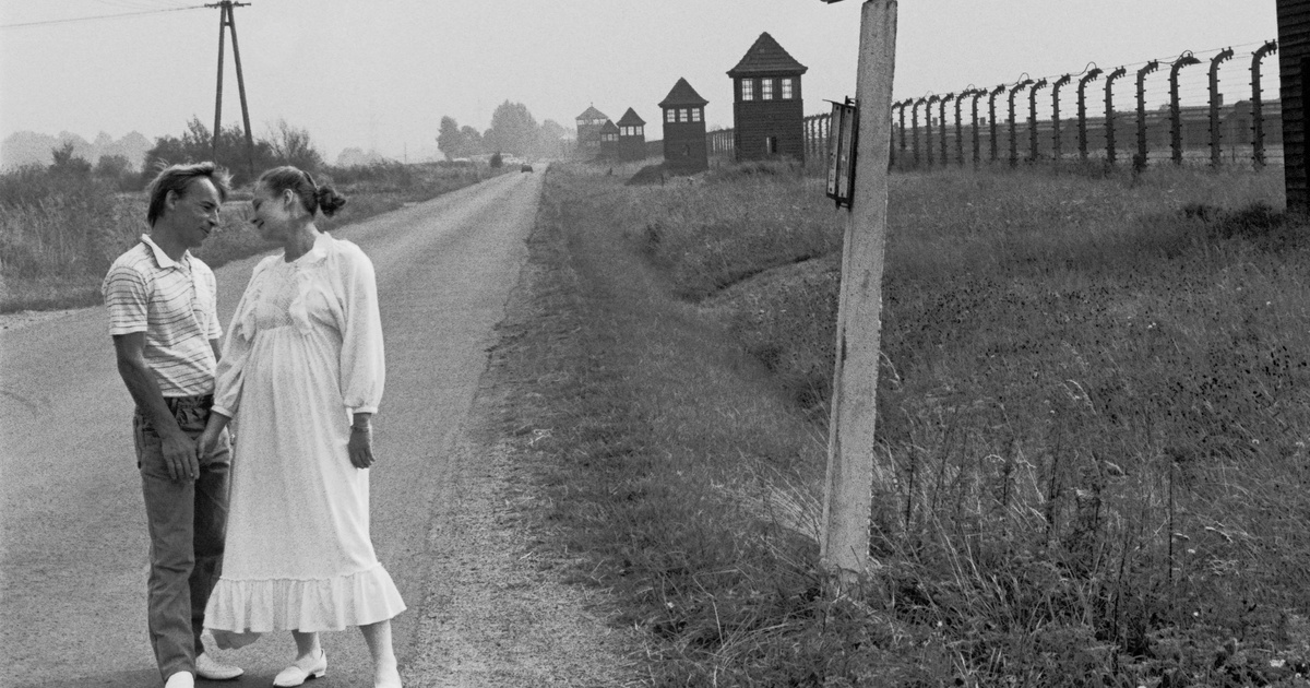Auschwitzban lett szerelmes a két fiatal – 6 hihetetlen és megható szerelmi történet
