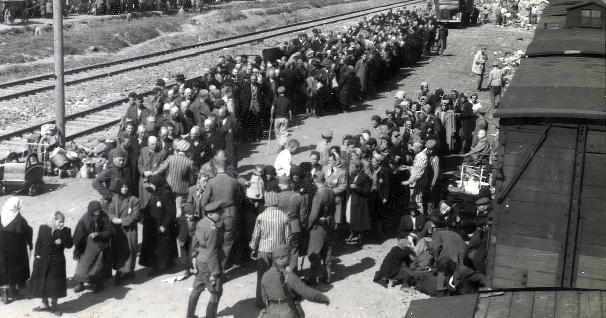 „A felejtés dominánsabb, mint az emlékezet” – interjú a holokauszt magyarországi áldozatainak emléknapja alkalmából