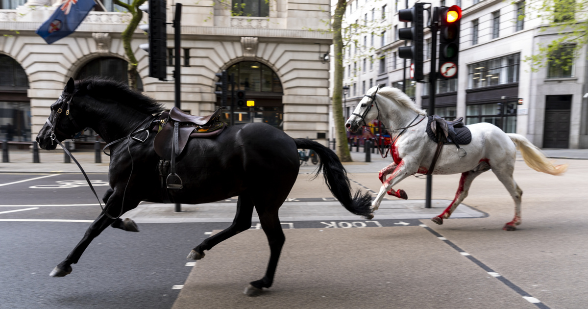 Két elszabadult ló vágtatott végig London utcáin