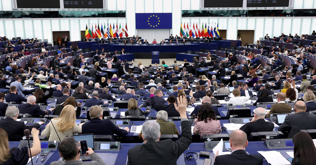 Egy képviselő szabadon engedett egy galambot az Európai Parlamentben