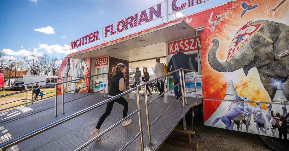 Nyomozást indított a Soproni Rendőrkapitányság a Richter cirkuszban történt baleset miatt