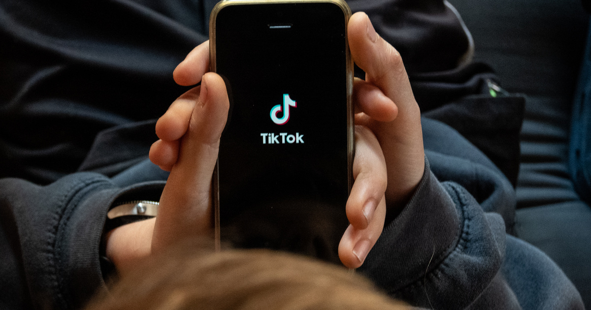 Index – Technology Science – TikTok introduces a new feature, it changes everything