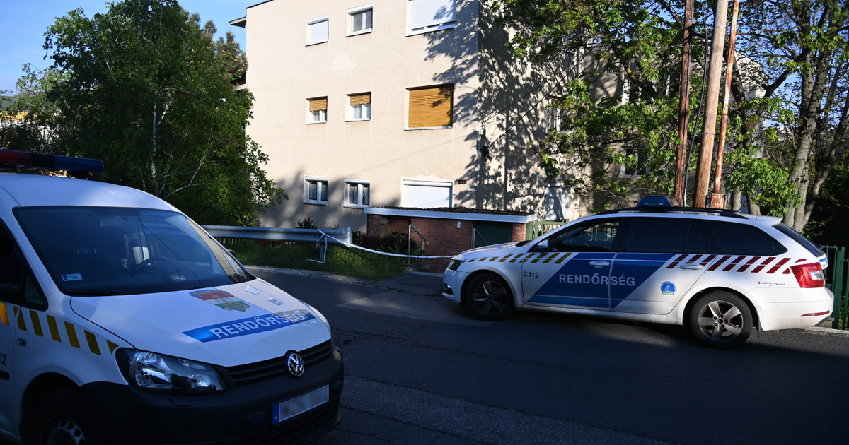 Kényszergyógykezelésre küldte a bíróság Bimbó utcai anyagyilkost