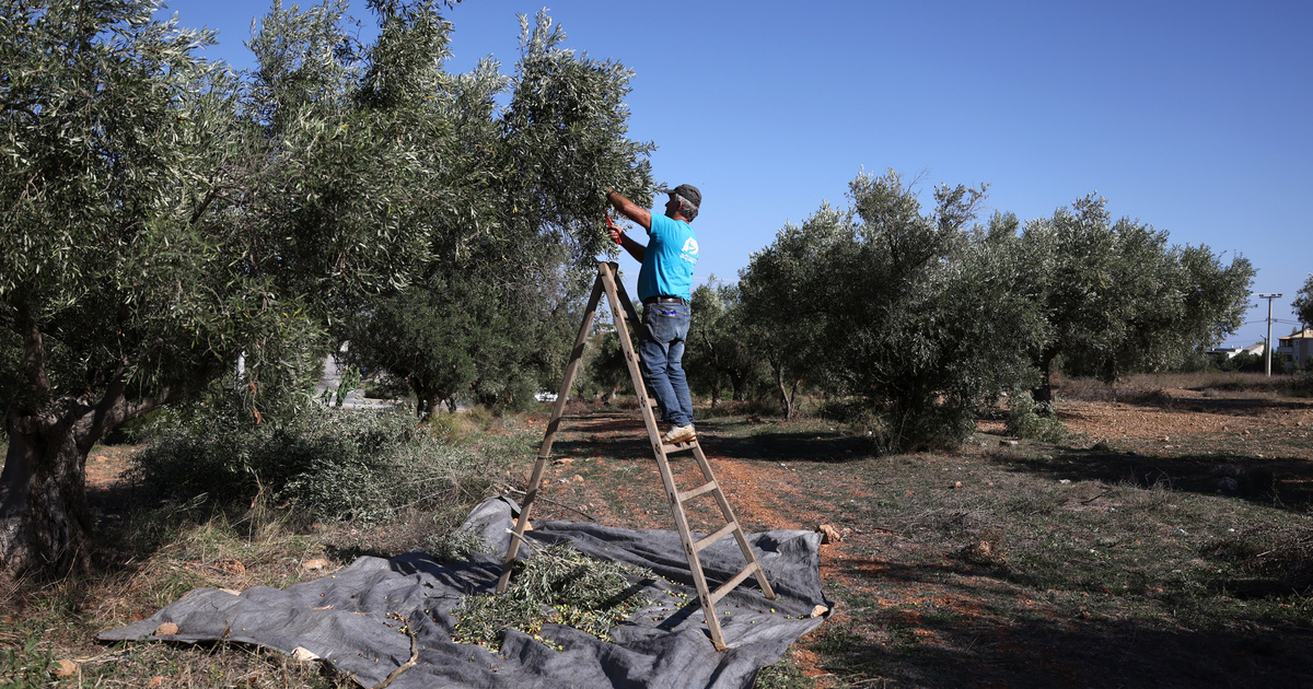 Ευρετήριο – Εξωτερικό – Υπάρχουν μέρη όπου οι Άραβες φιλοξενούμενοι εργαζόμενοι υποδέχονται με ανοιχτές αγκάλες στην Ευρώπη