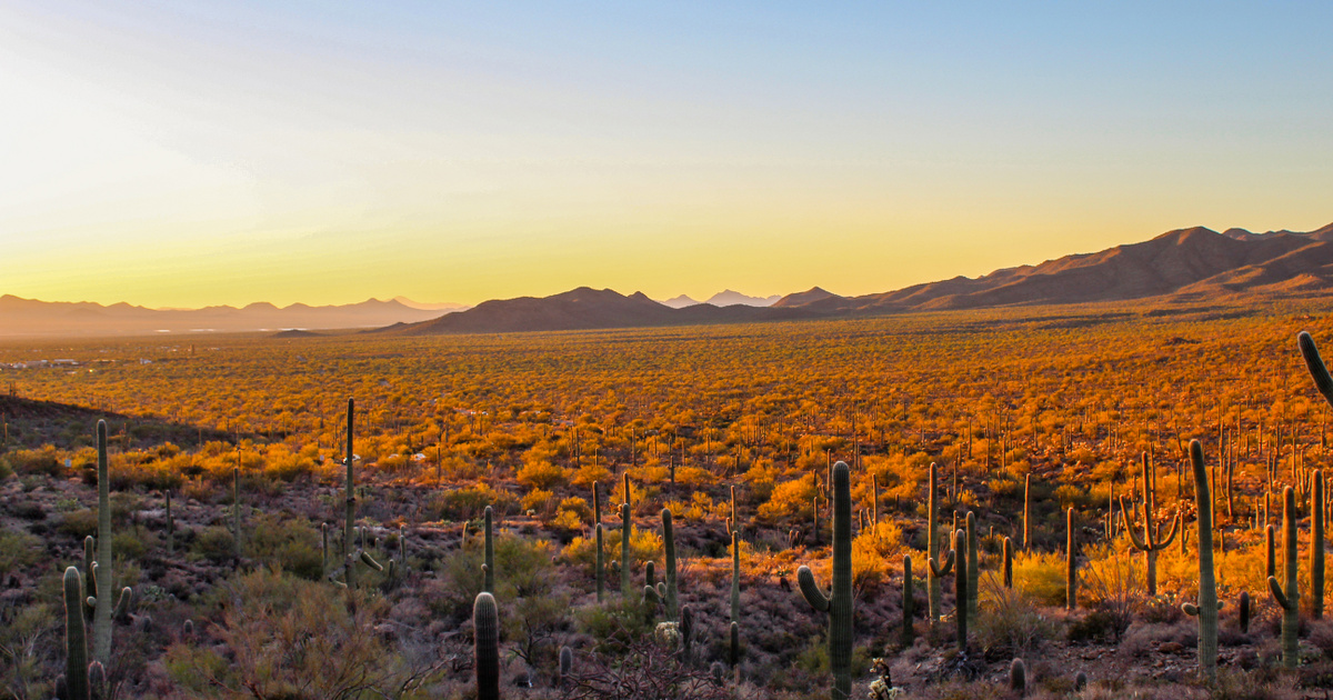 Index – Abroad – A state of emergency and heat warning is in effect in the United States