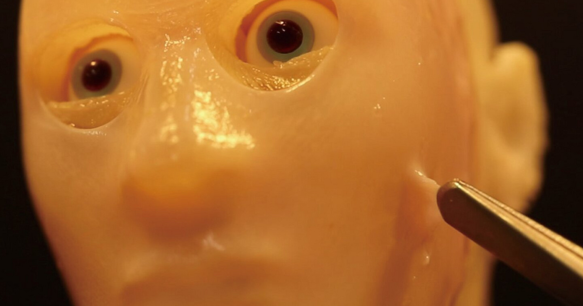 Index – Technology Science – Living skin stretched over robot's face, though it now looks like a smiling pudding