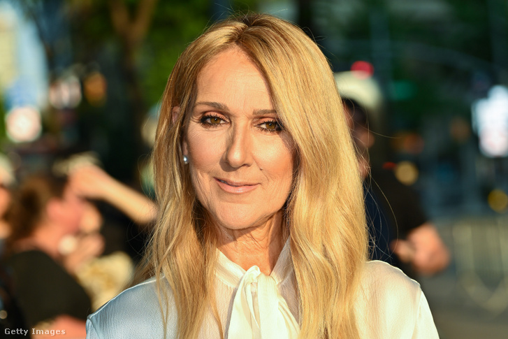 Index – Meanwhile, Celine Dion showed off her long-lost twin sons, and took a touching photo of them.