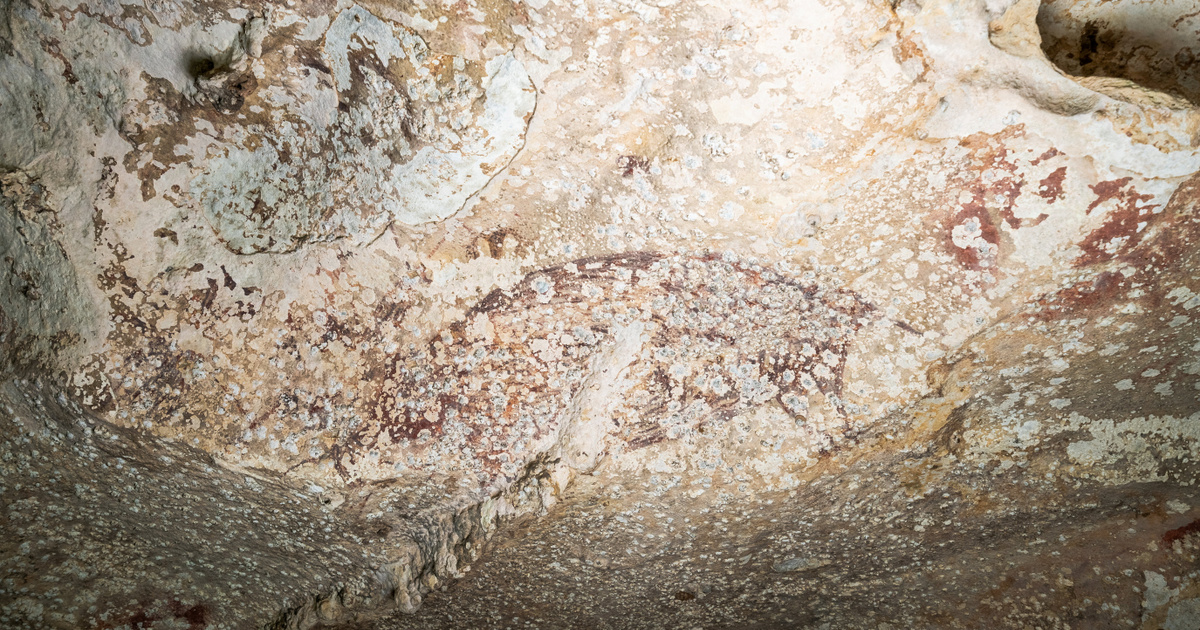 Index – Culture – The oldest cave drawing in the world has been found
