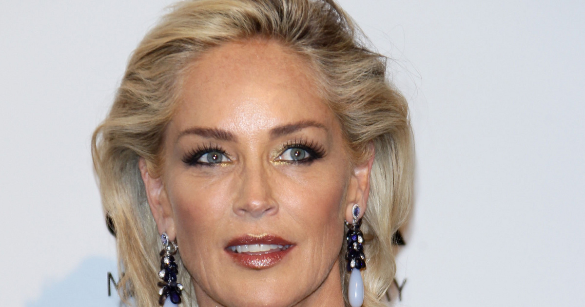 “No me queda ni un centavo”: es repugnante lo que le pasó a Sharon Stone después de sufrir un derrame cerebral – World Star