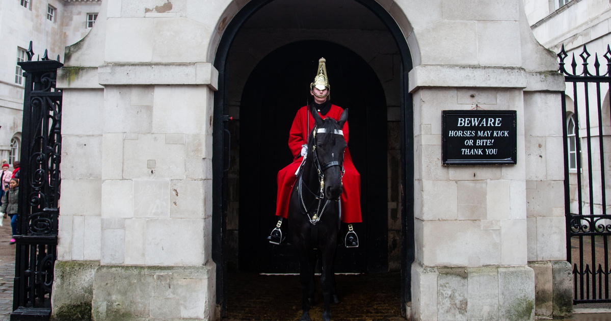 Index – Abroad – Tourist bitten by Royal Guard horse at Buckingham Palace