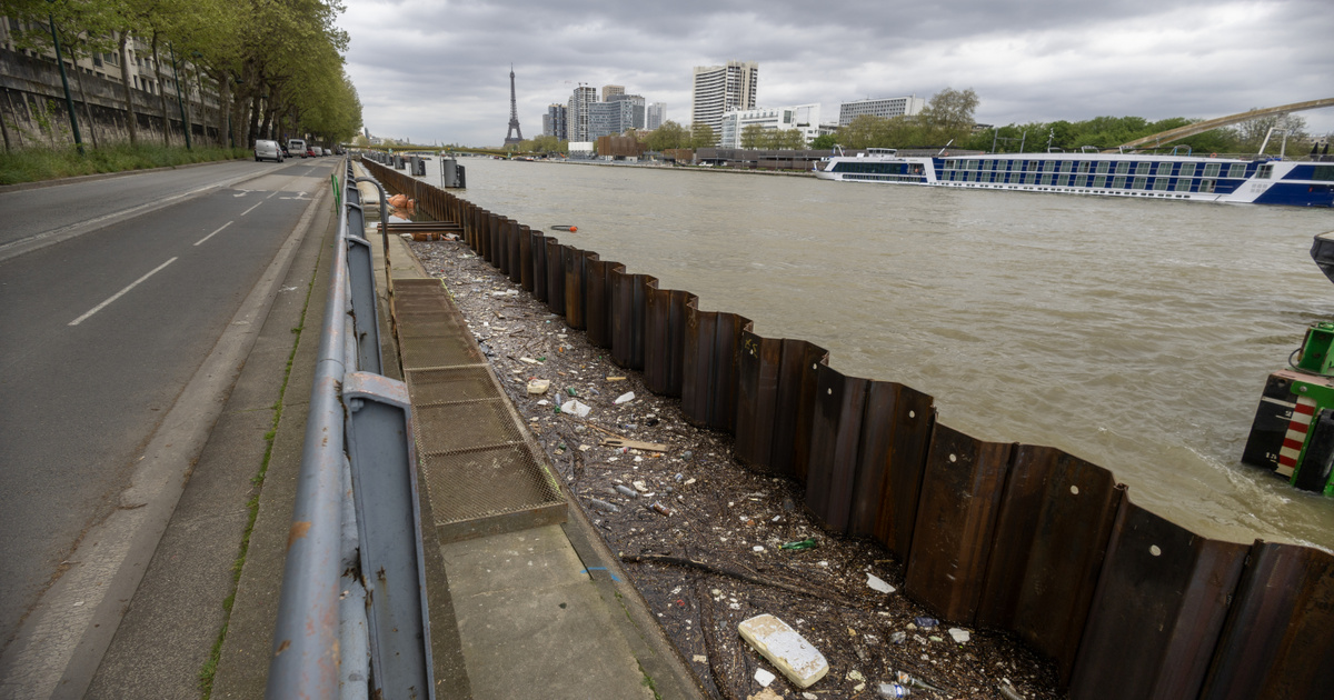 Índice – Deportes – La calidad del agua del Sena sigue siendo muy mala y el lunes se cancelaron los entrenamientos de los atletas