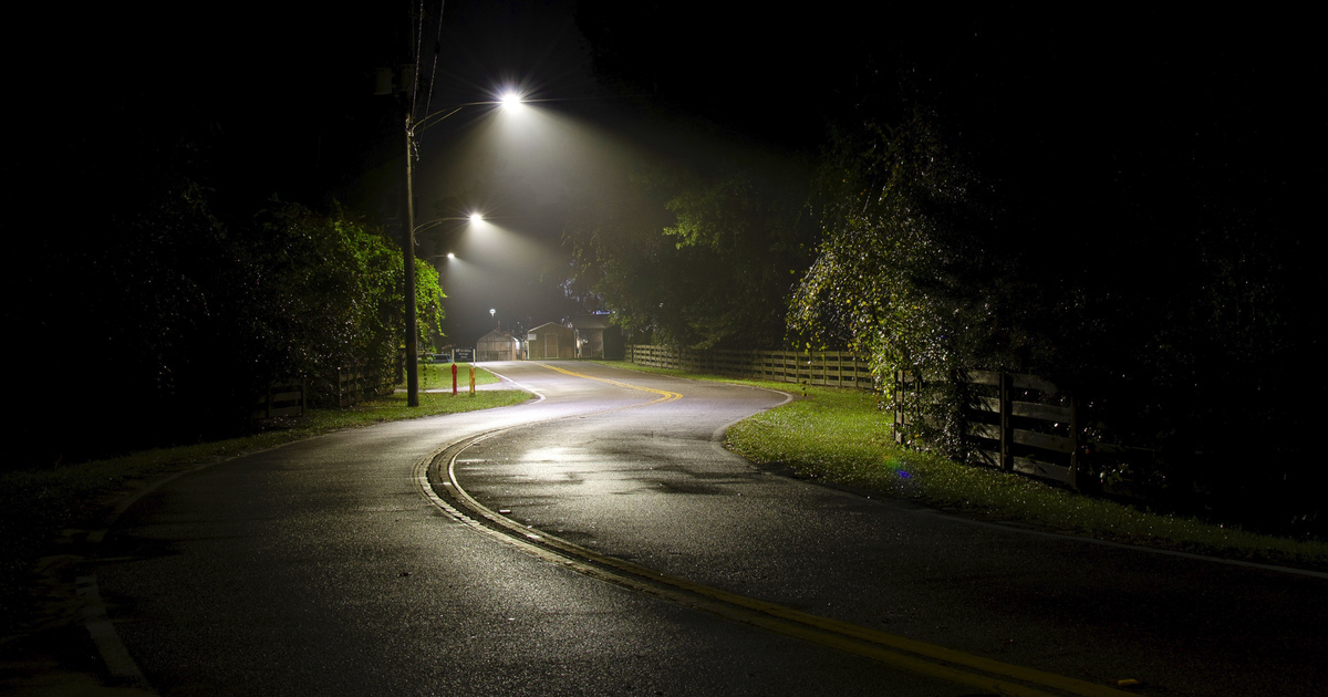 Index – Science – Do street lights that are on all night affect the work of nature?