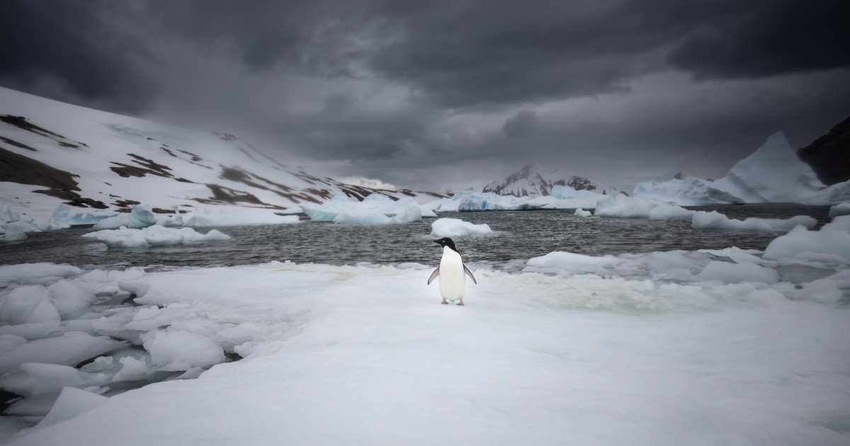 Index – Tech-Science – It's so hot you can feel it even in Antarctica