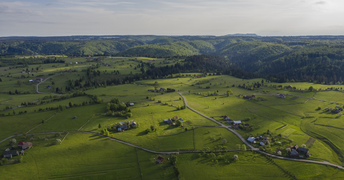 Index – Abroad – A bear attacked a person again in Hargita County in Transylvania