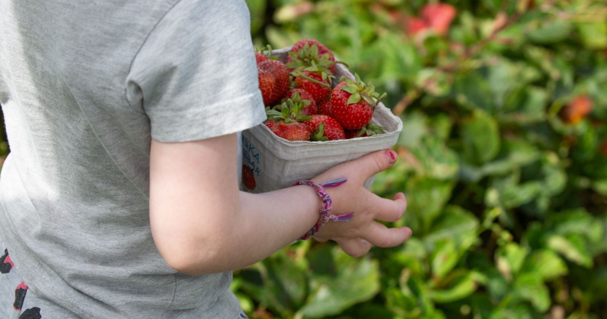 Index – Science – School gardens have psychological benefits too