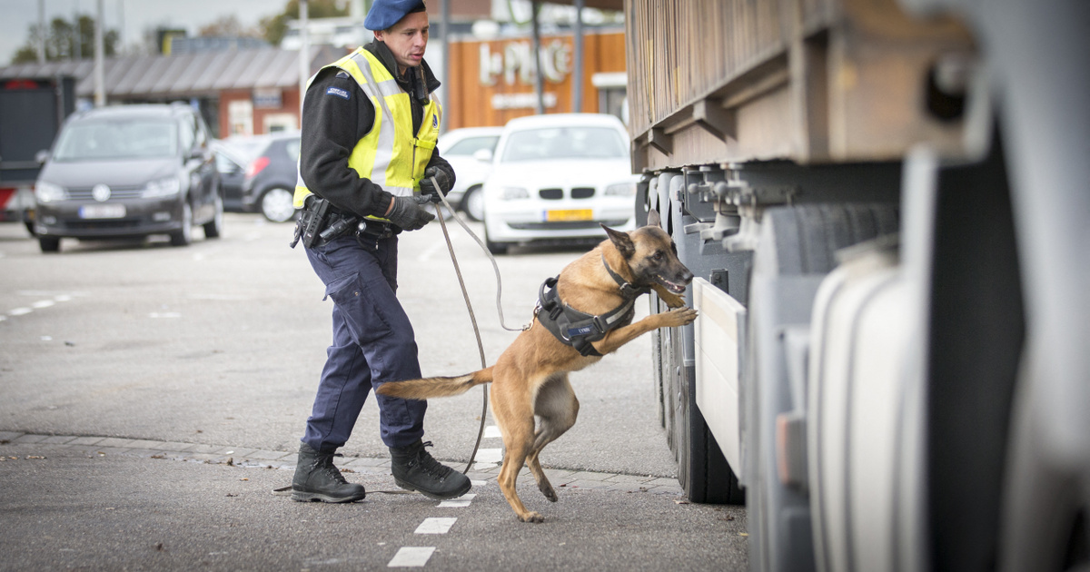 Index – Abroad – The Netherlands also closed its doors, and border control was restored