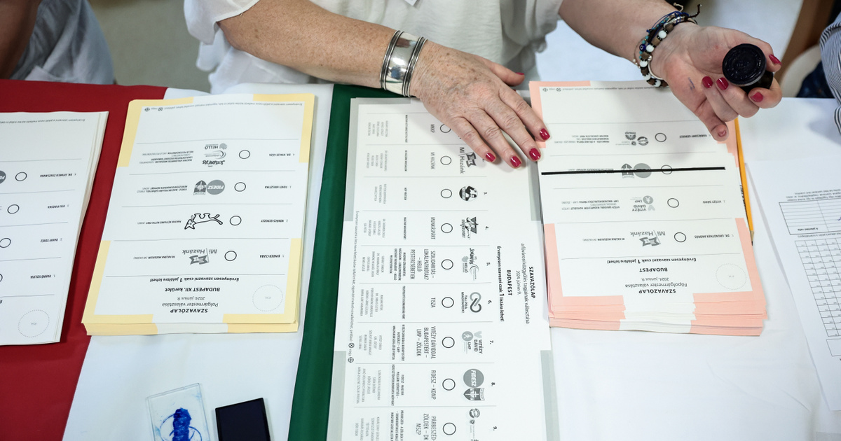 Sorra bukkannak fel a pártok a választási nyilvántartásban, egyre több a furcsaság az MSZP körül