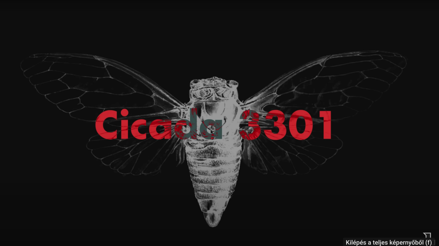 Cicada 3301: az internet legnagyobb rejtélye, amit senki sem fejtett meg