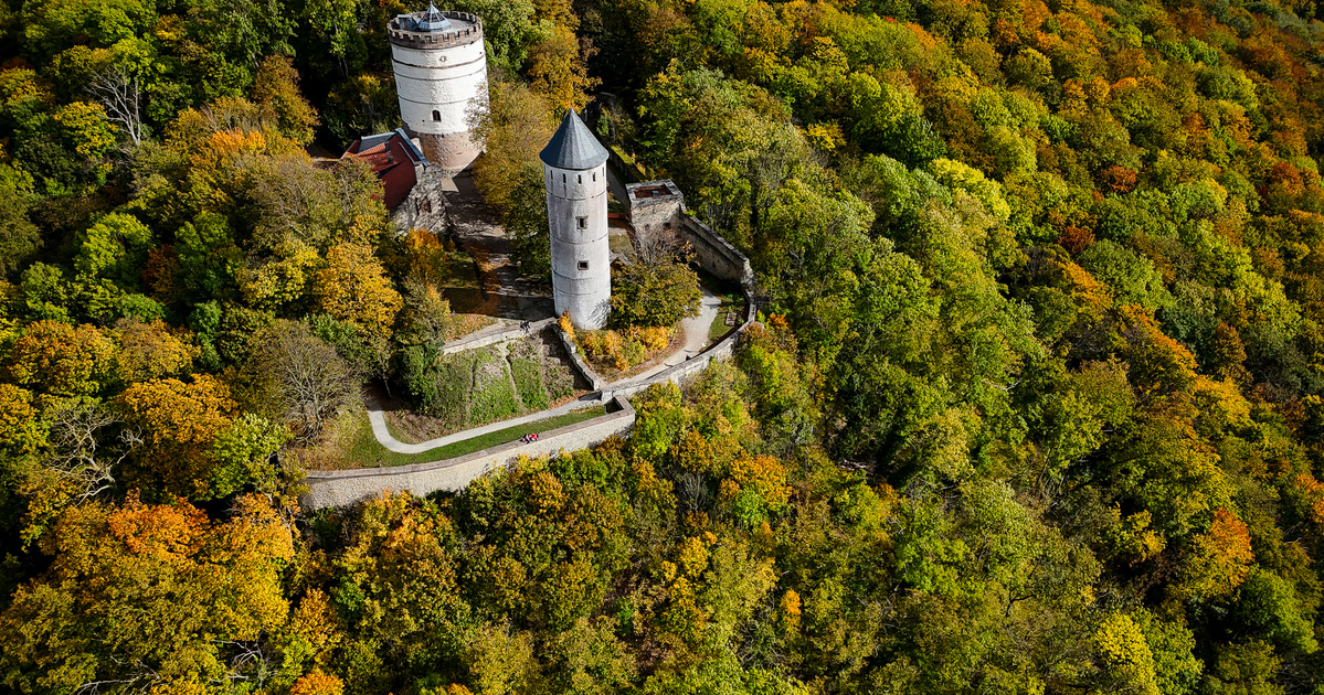 Turczi István: Szandi