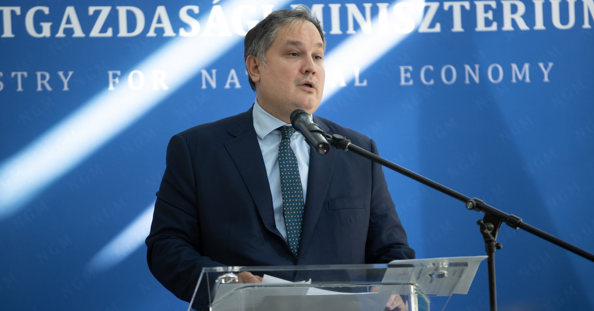 Index – Economy – Martin Nagy revealed the statements that the state competes