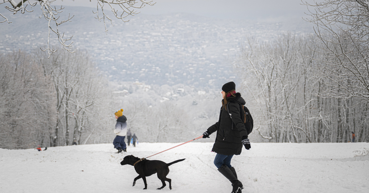 Index – Belföld – Kiadták a figyelmeztetést, pénteken akár havazhat is