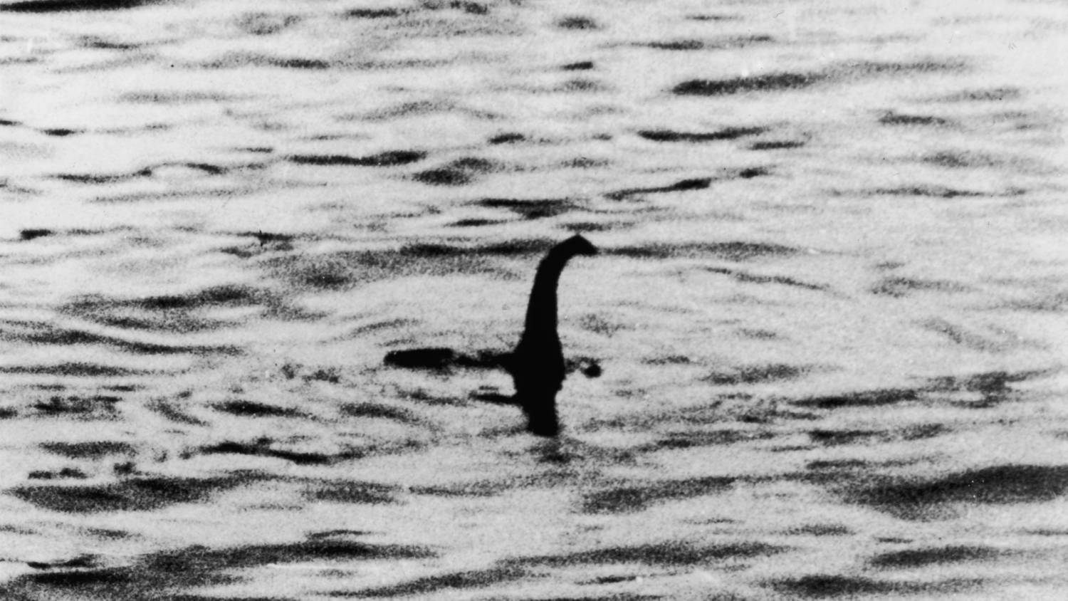 Megoldhatta végre a Loch Ness-i szörny rejtélyét egy oxfordi tudós