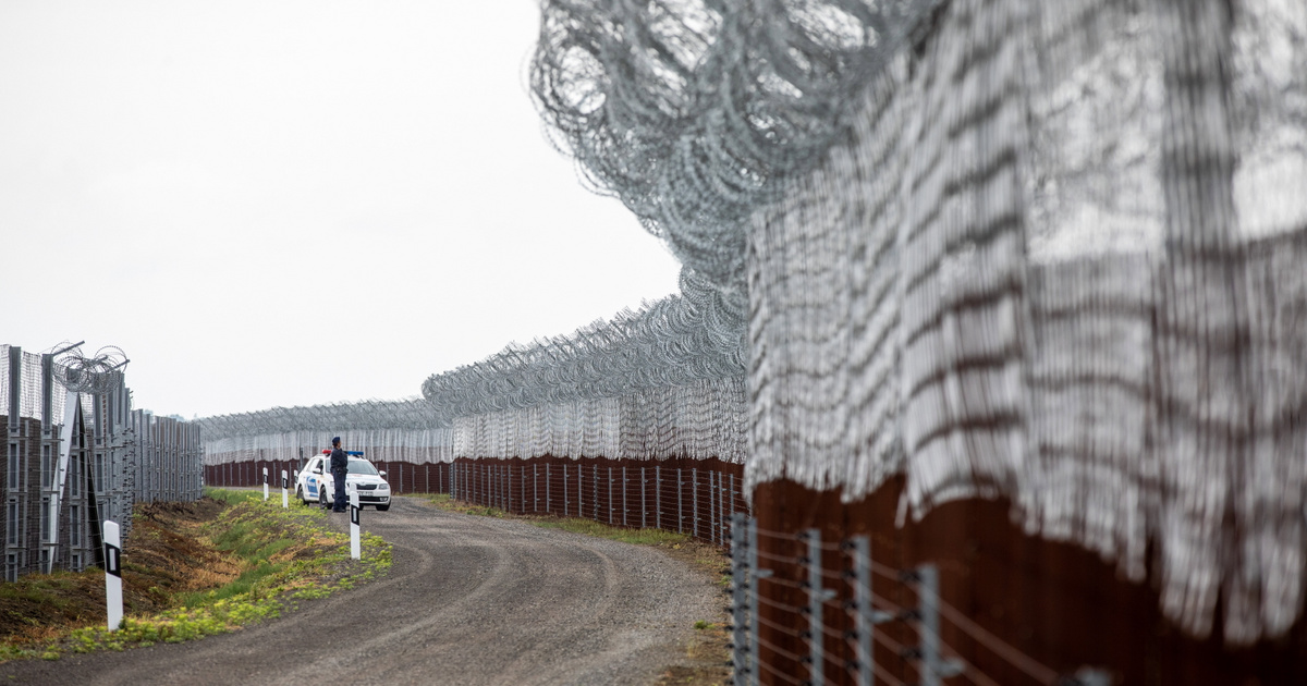 Ceglédi Zoltán: Miért simogassunk mégis migránsokat?